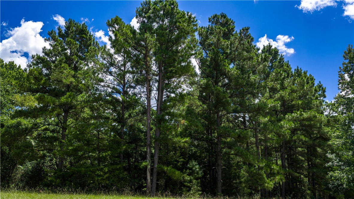 5550 Hamilton Hill Lane