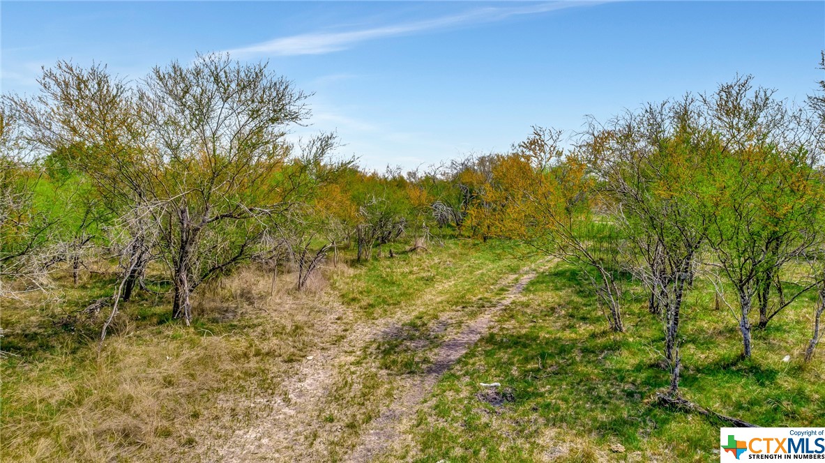 000 U S Hwy 77 Business/ Fordyce Road