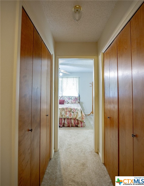 3320 Levi Sloan Road