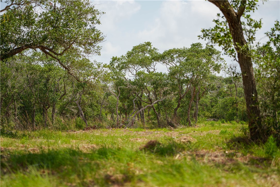 704 State Highway 35 Hwy