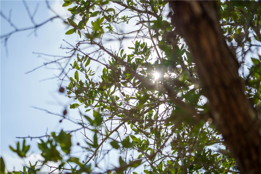 704 State Highway 35 Hwy