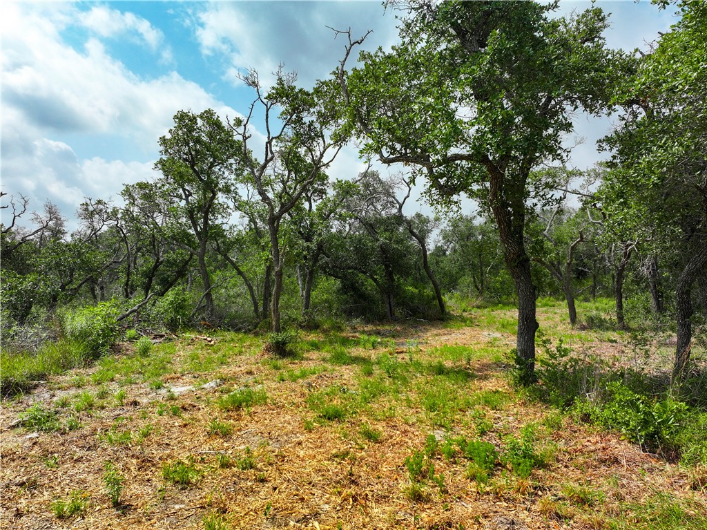 704 State Highway 35 Hwy