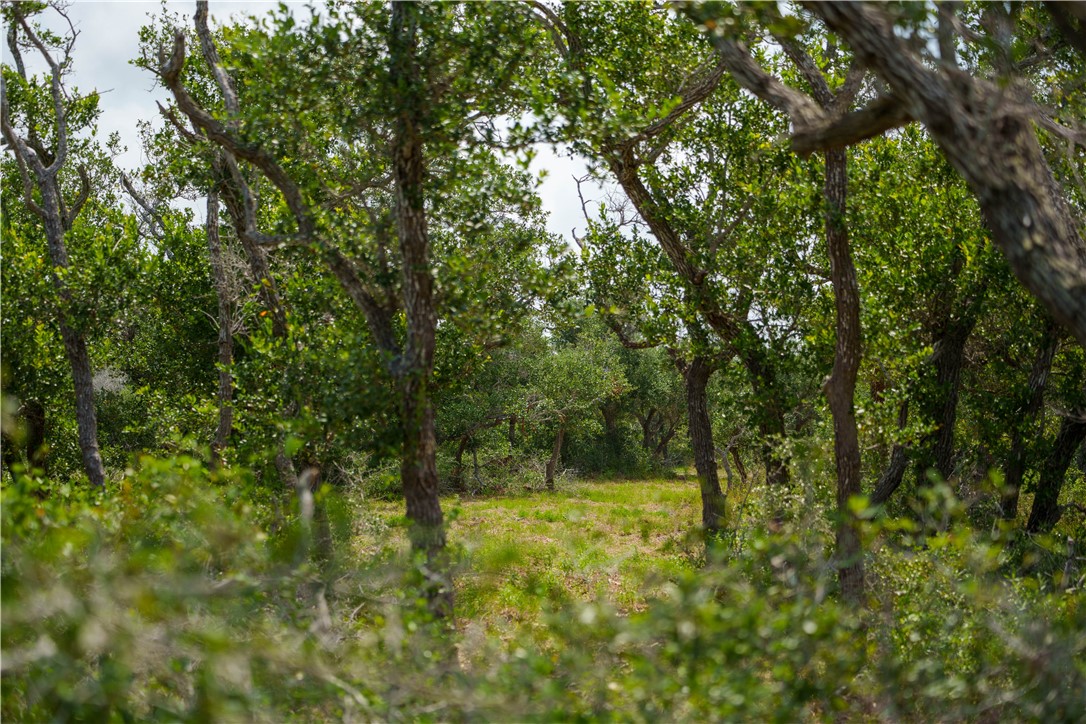 704 State Highway 35 Hwy