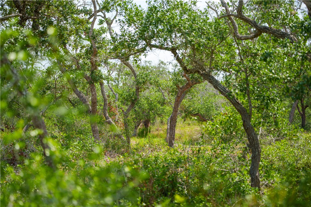 704 State Highway 35 Hwy