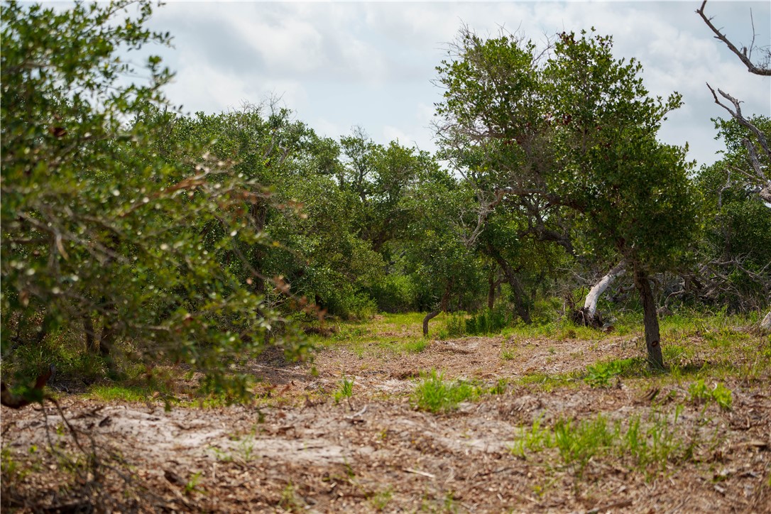 704 State Highway 35 Hwy