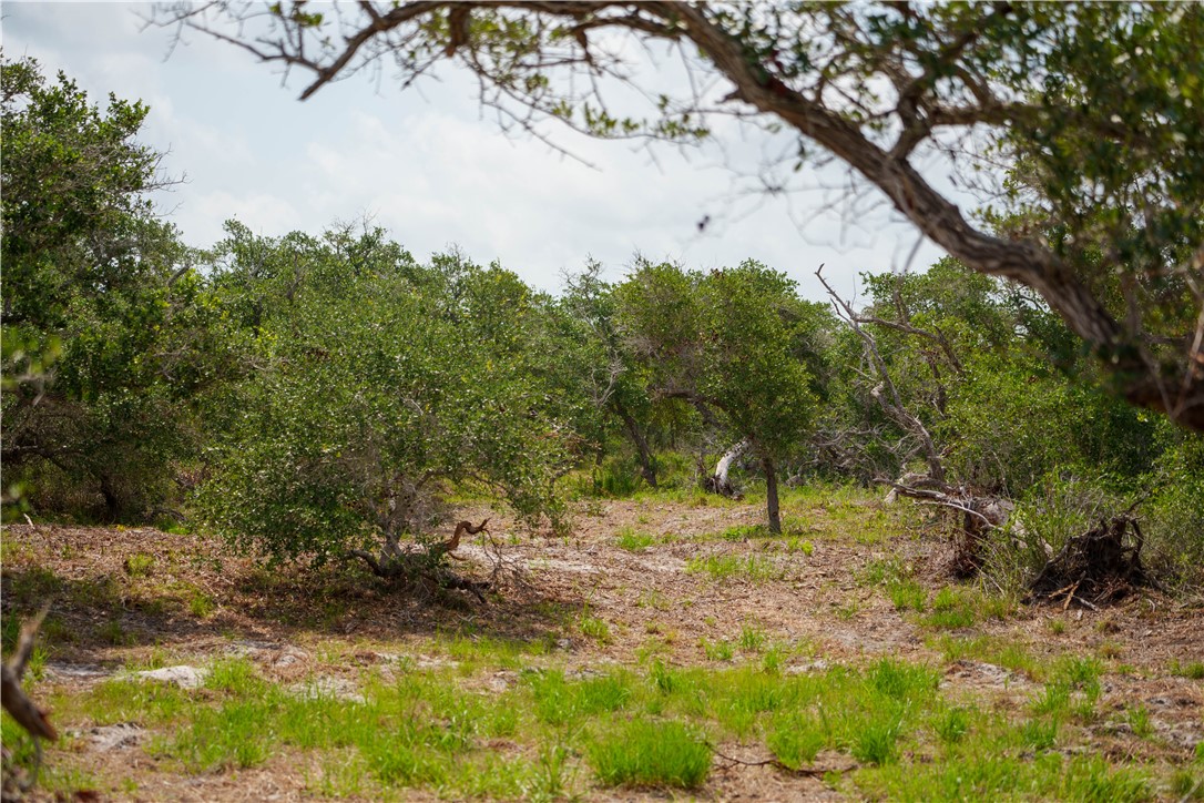 704 State Highway 35 Hwy