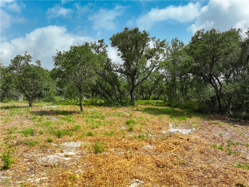 704 State Highway 35 Hwy