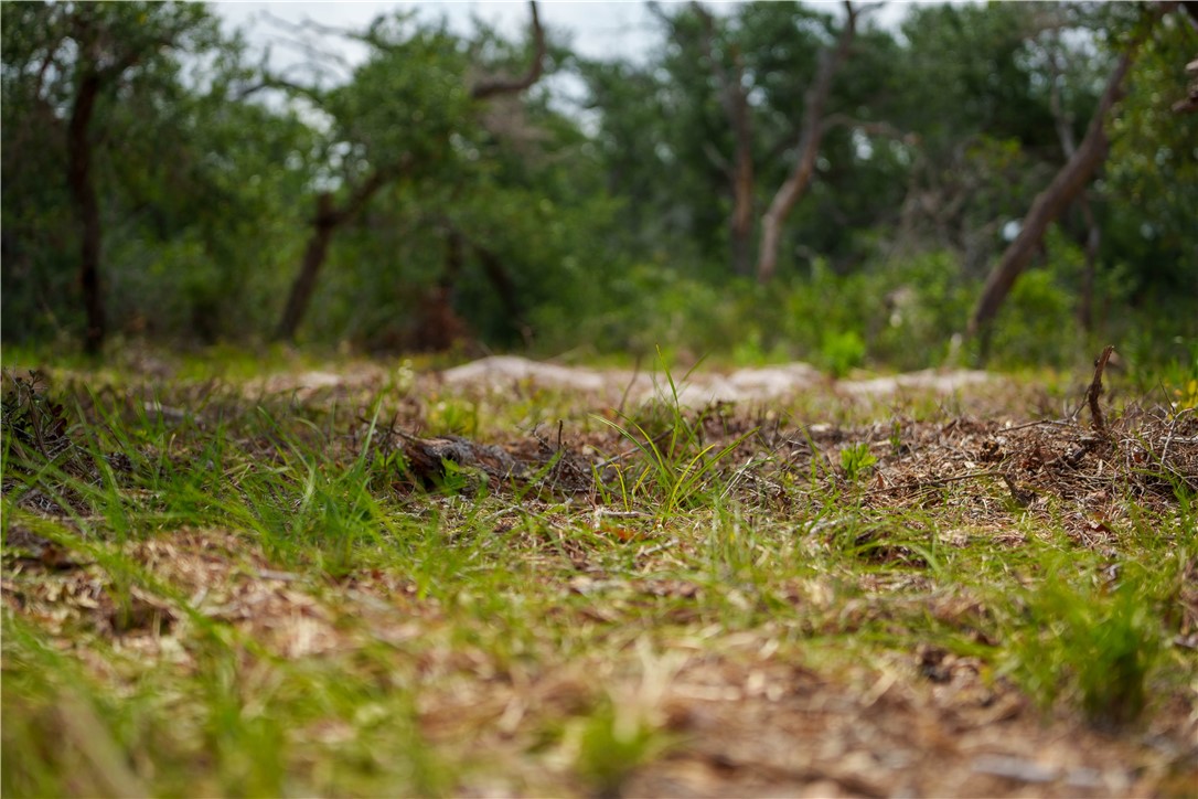 704 State Highway 35 Hwy