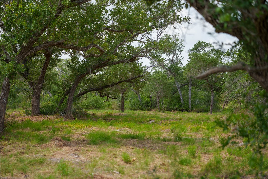 704 State Highway 35 Hwy