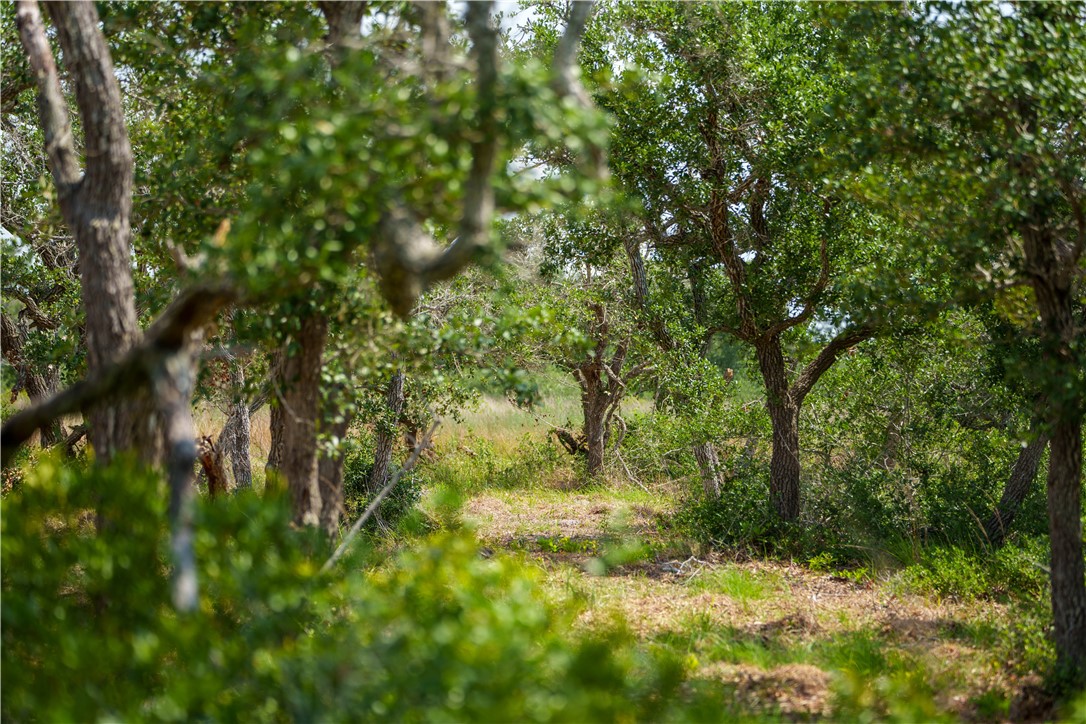 704 State Highway 35 Hwy