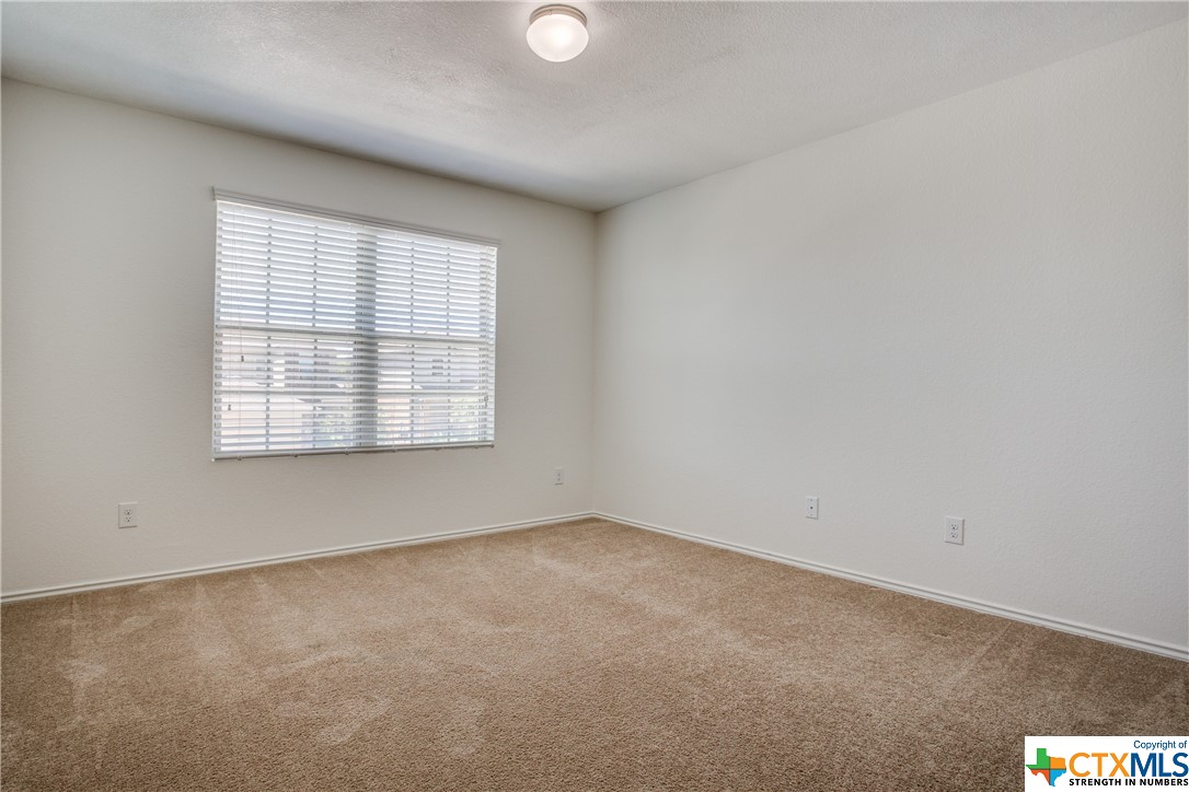 1029 Chad Loop