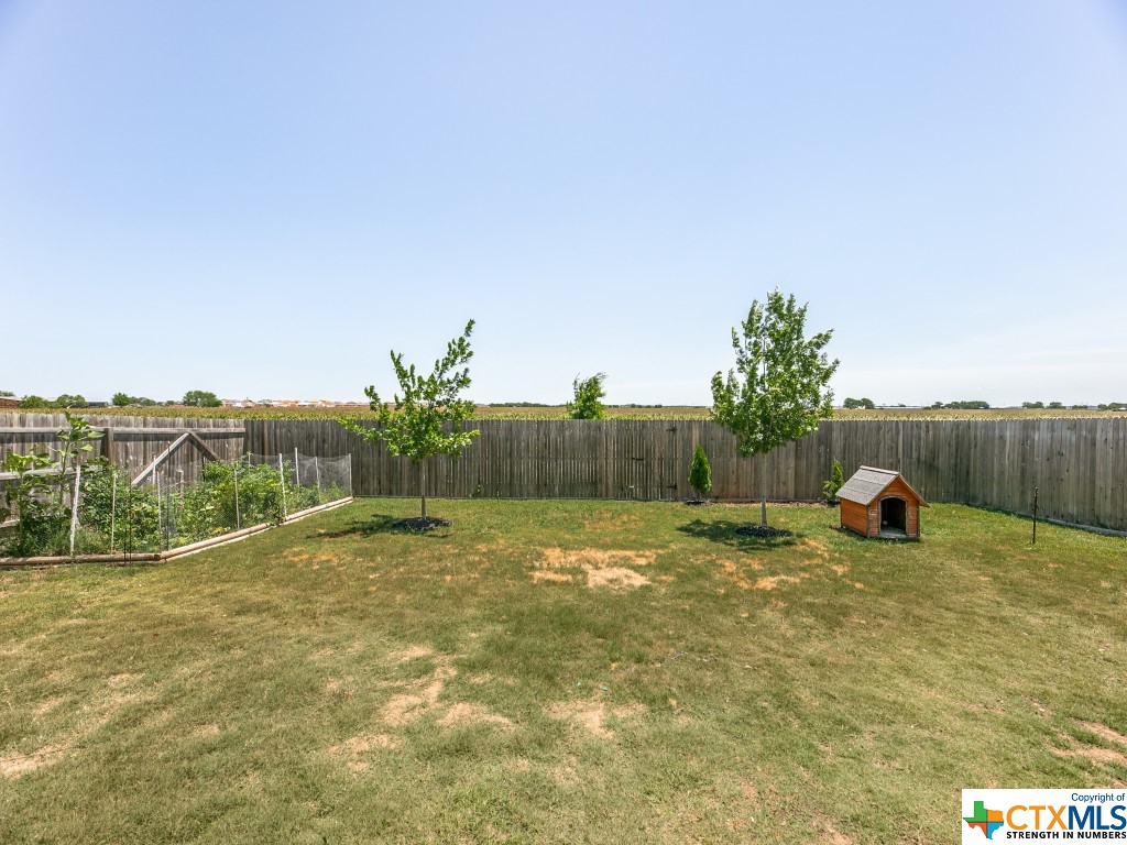 1341 Kelly River Street