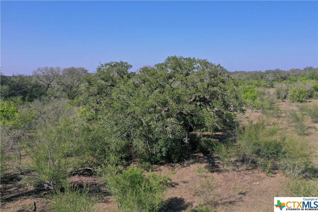 4041 Oilfield Road