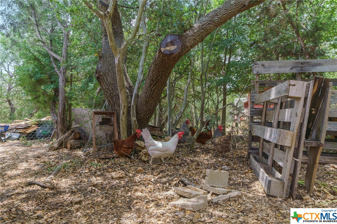 515 Deer Creek Drive