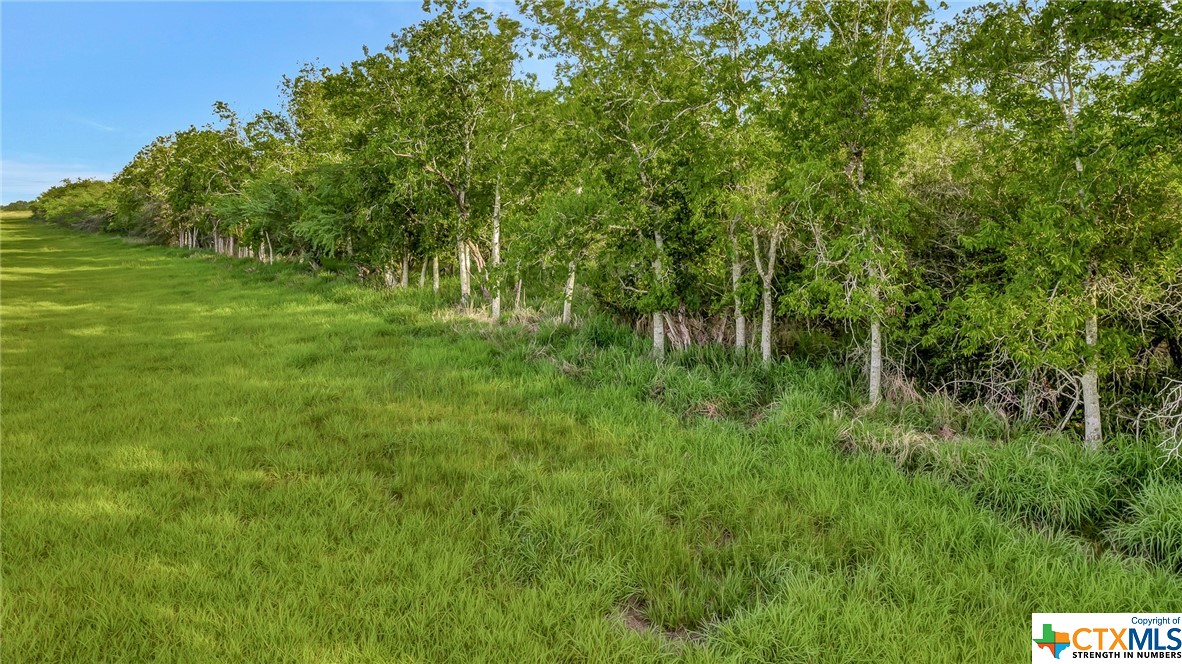 000 Hanselman Road