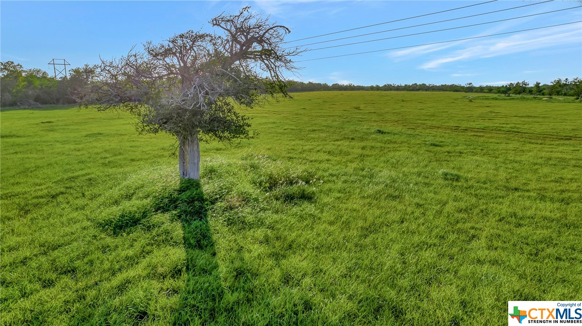 000 Hanselman Road