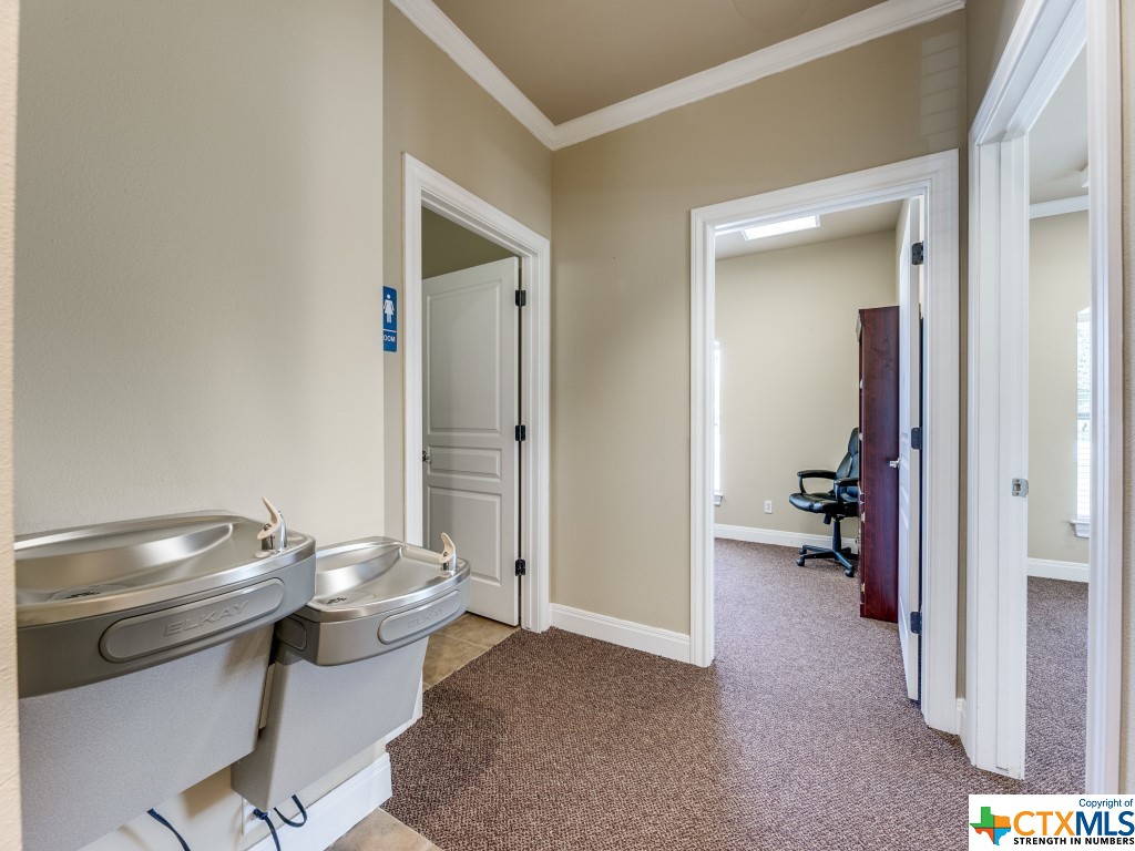 1619 E Common Street 1004