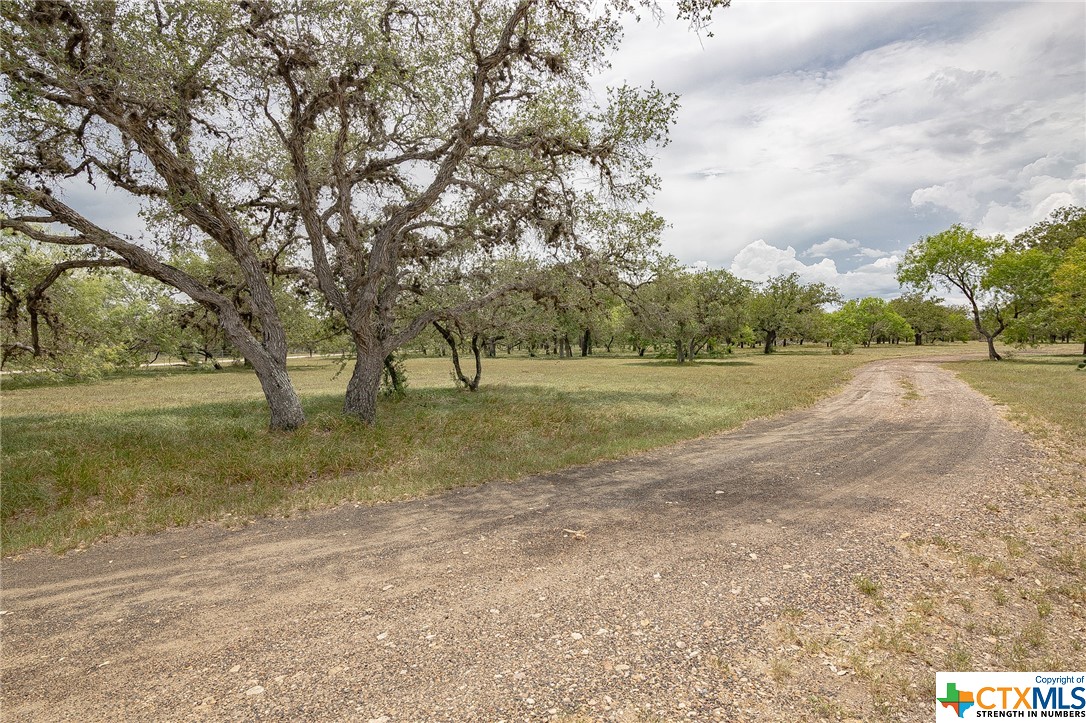 1375 Fannin Oaks Dr.