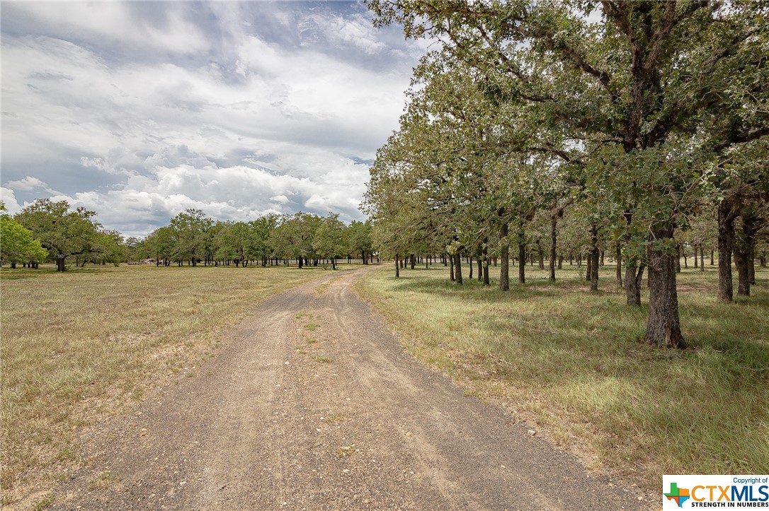 1375 Fannin Oaks Dr.