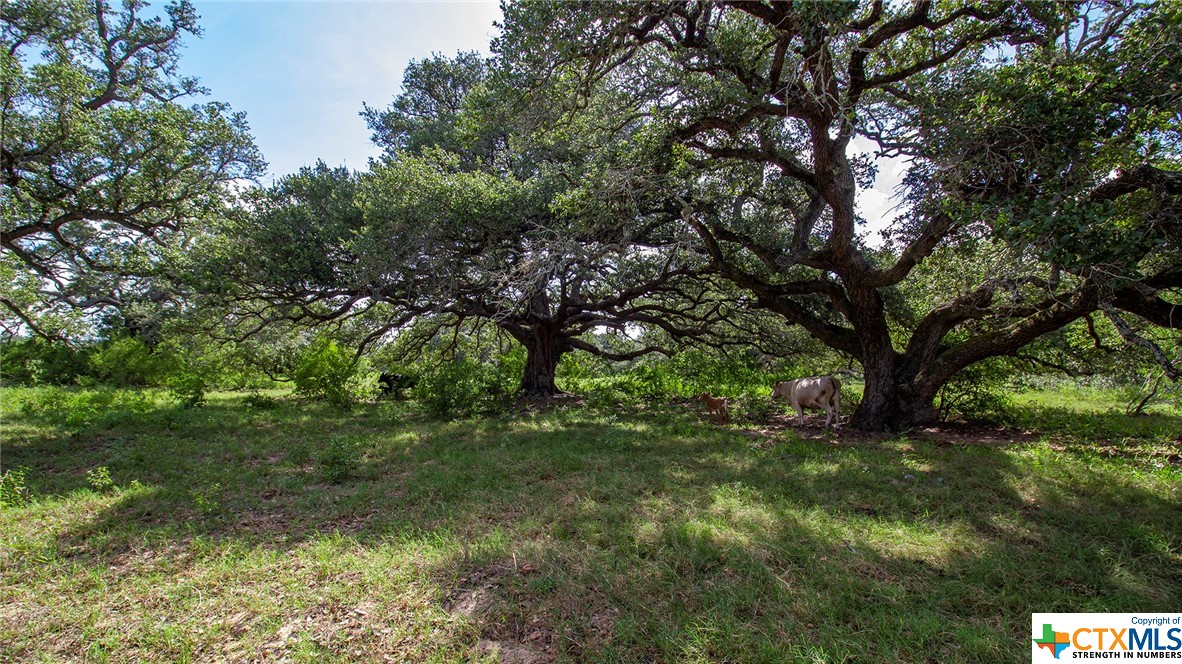 000 San Antonio River Road