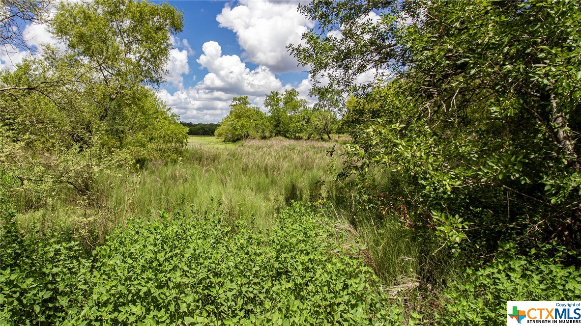 000 San Antonio River Road