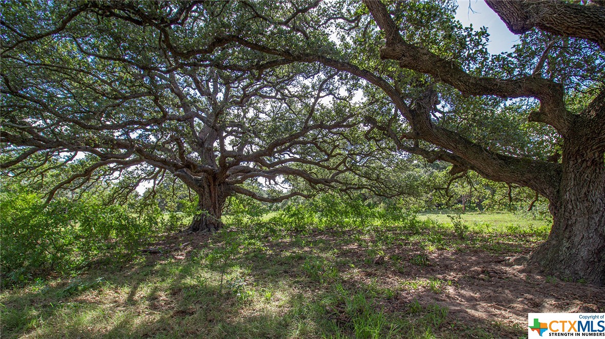 000 San Antonio River Road