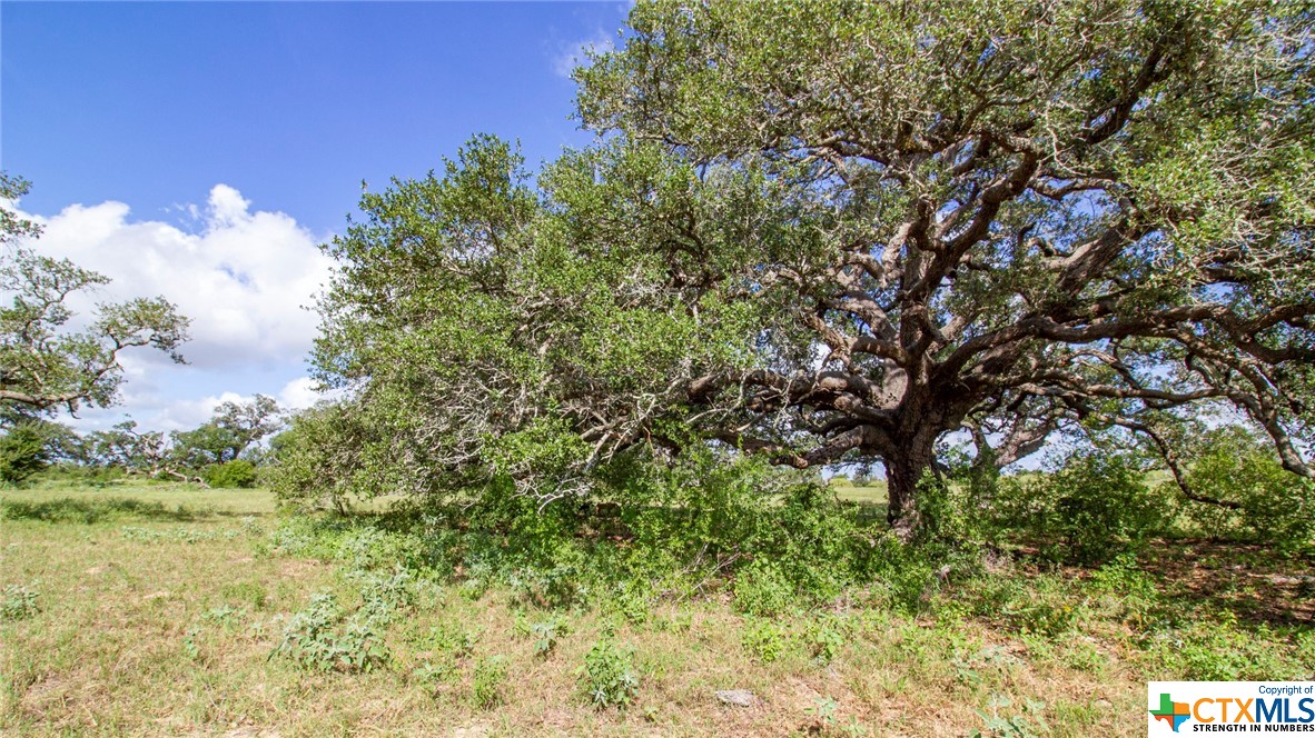 000 San Antonio River Road