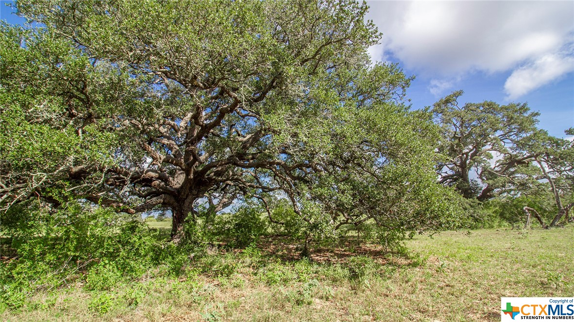 000 San Antonio River Road