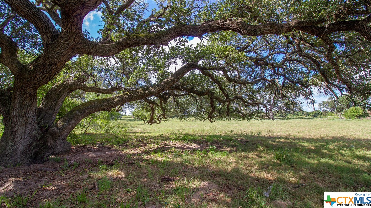 000 San Antonio River Road