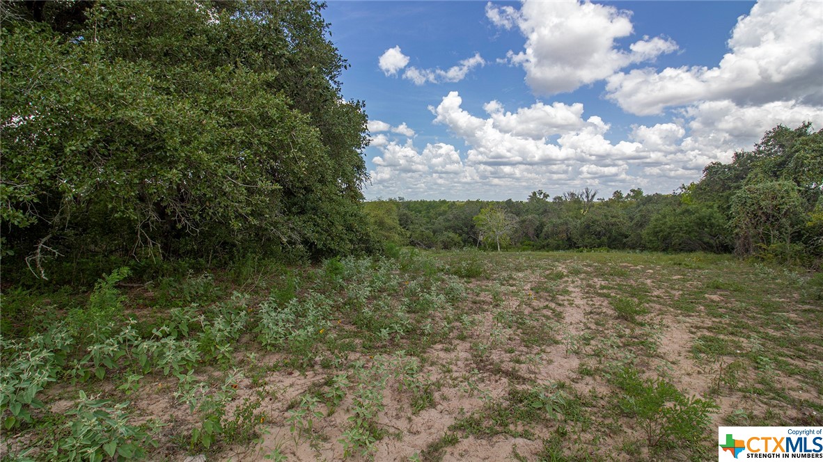 000 San Antonio River Road