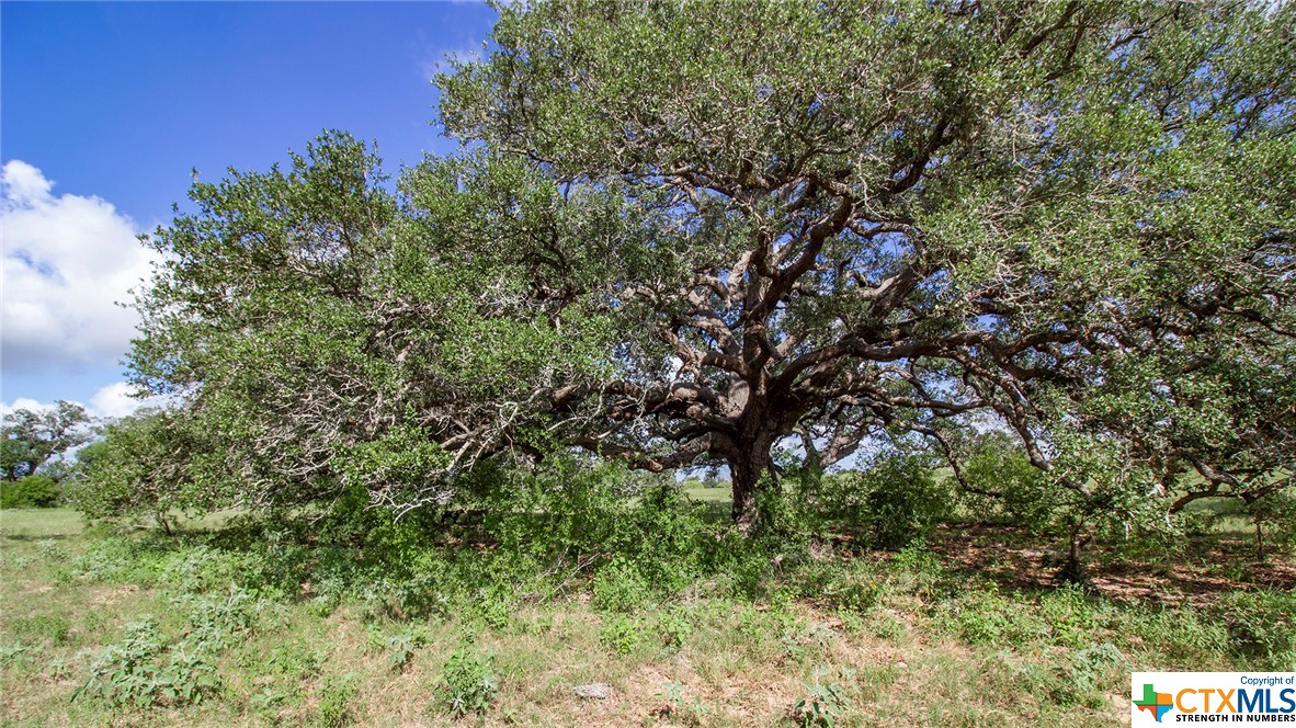 000 San Antonio River Road