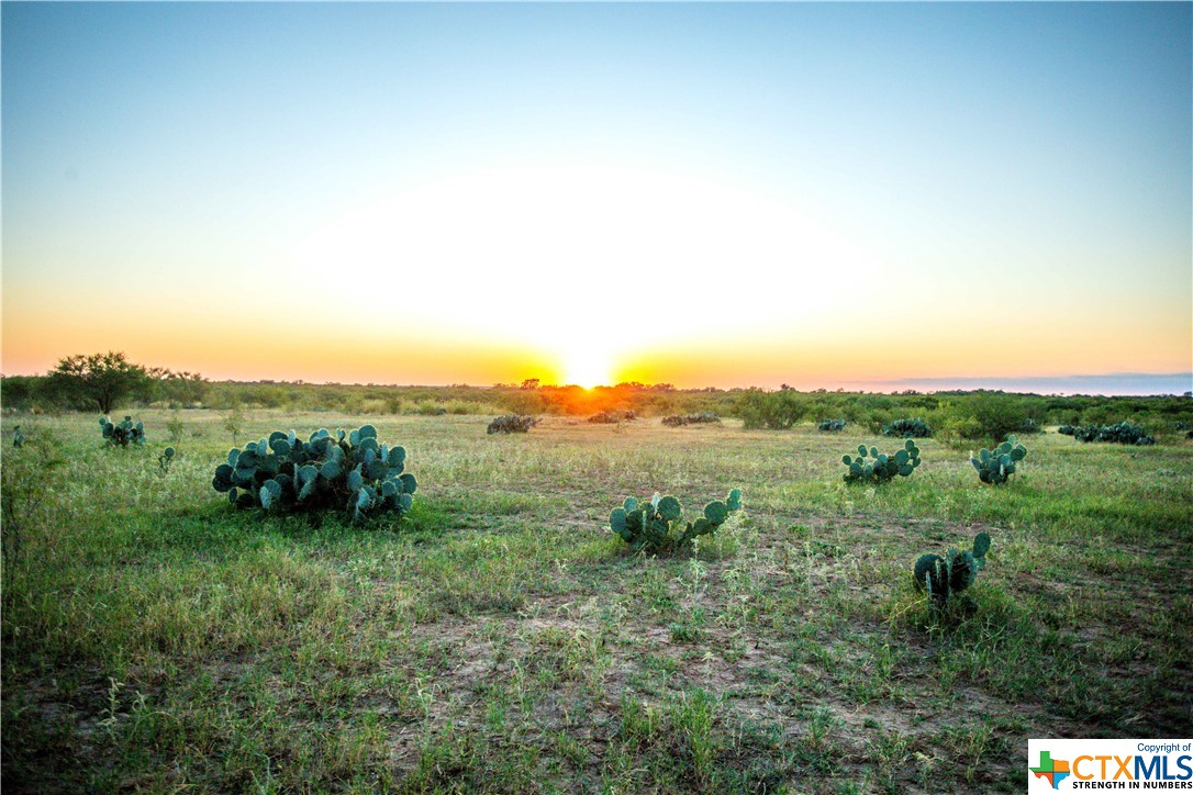 727 County Road 4425