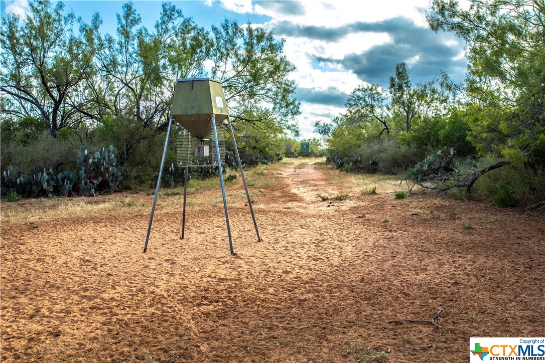 727 County Road 4425