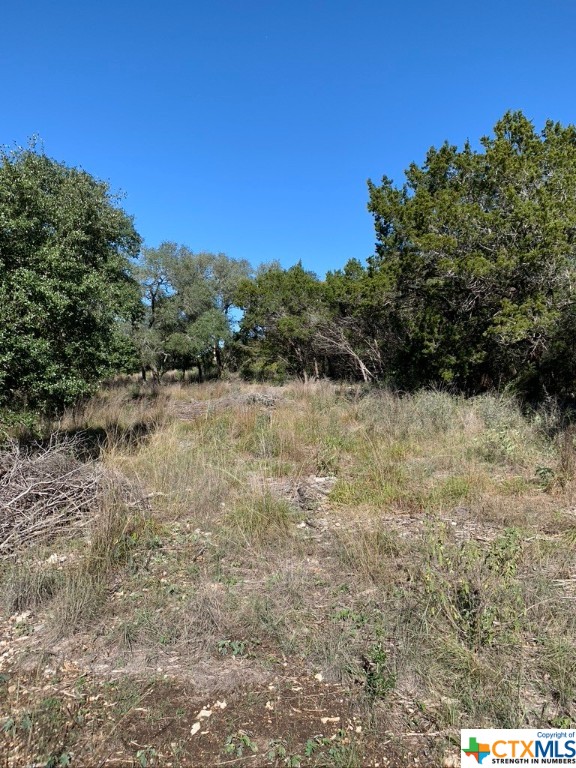 742 Vista Ridge