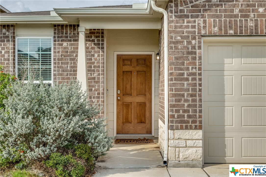 134 Texas Thistle