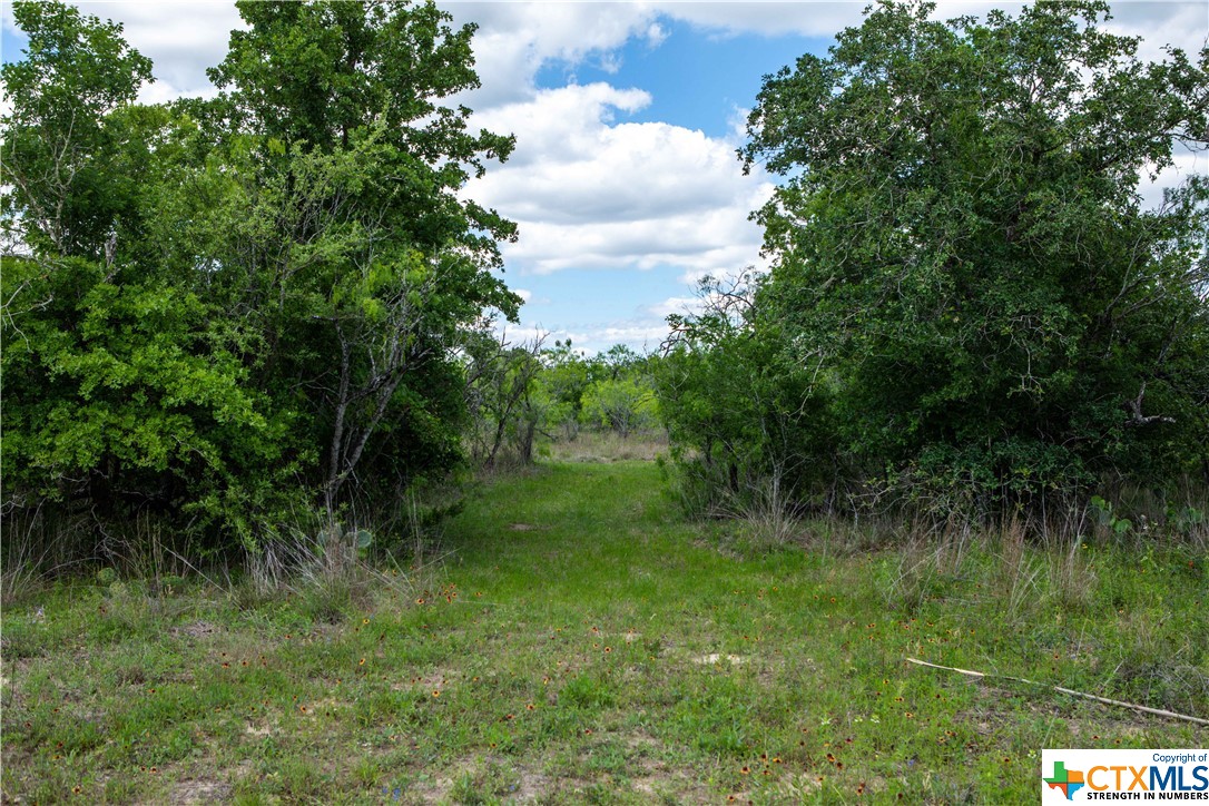 000 Lange Road