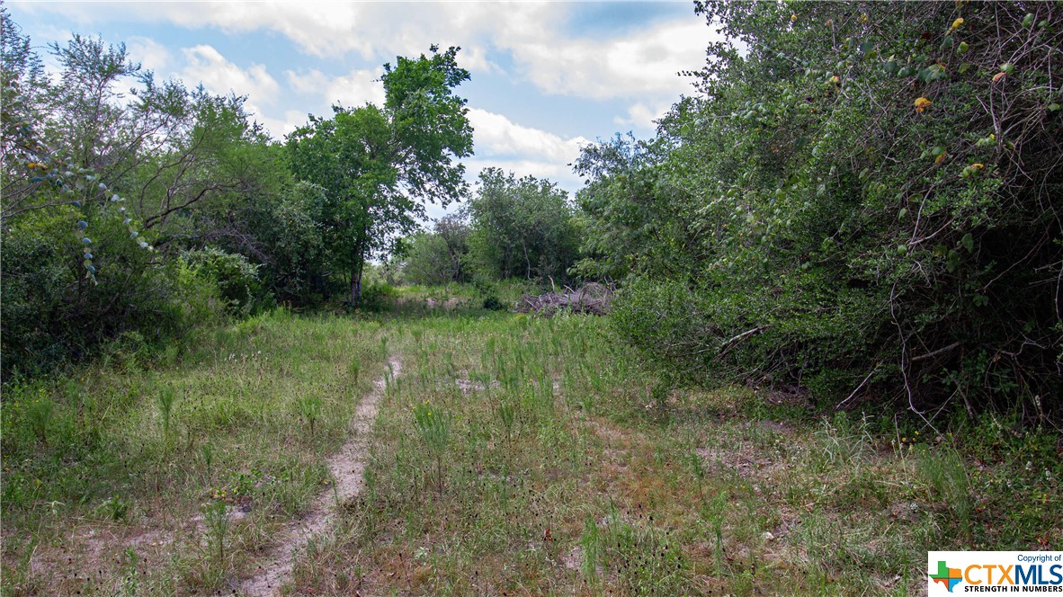 166 McGuill Road