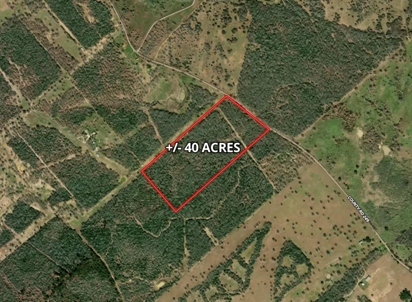 1147 County Rd 249