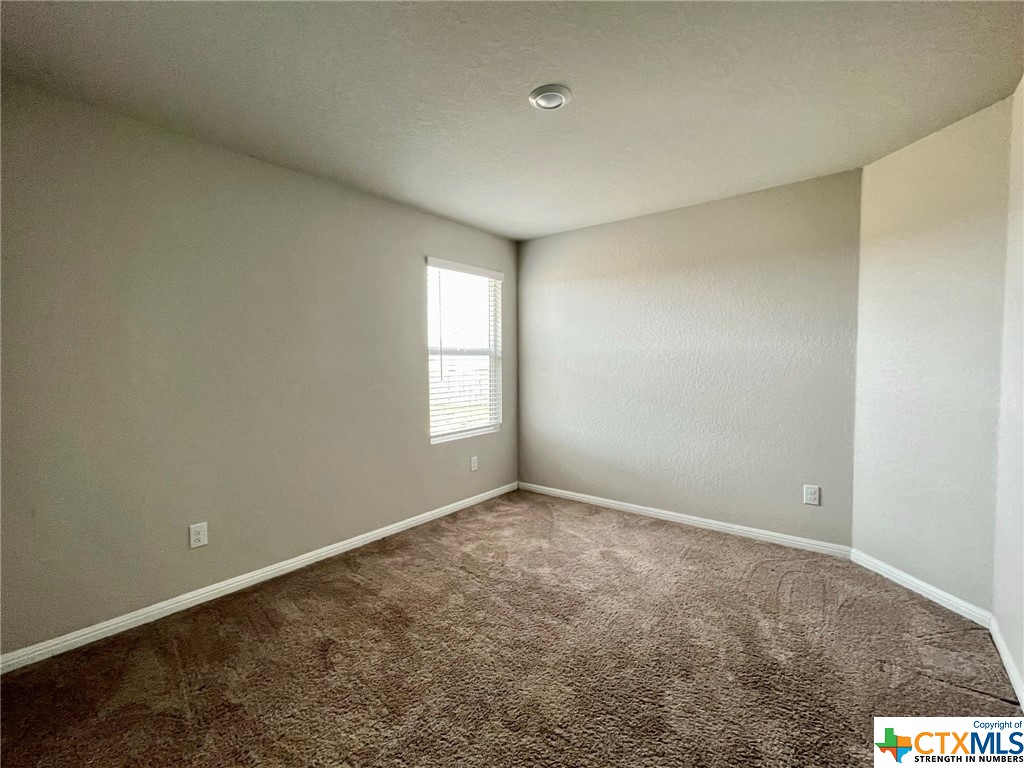 2834 Calandra Lark