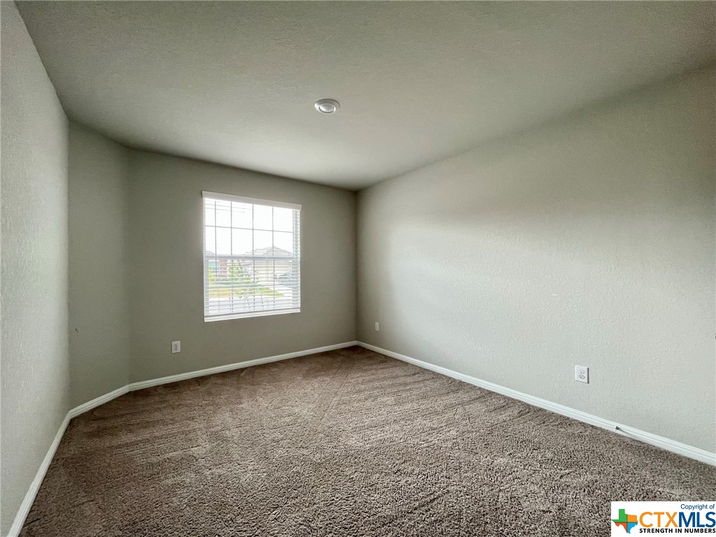 2834 Calandra Lark