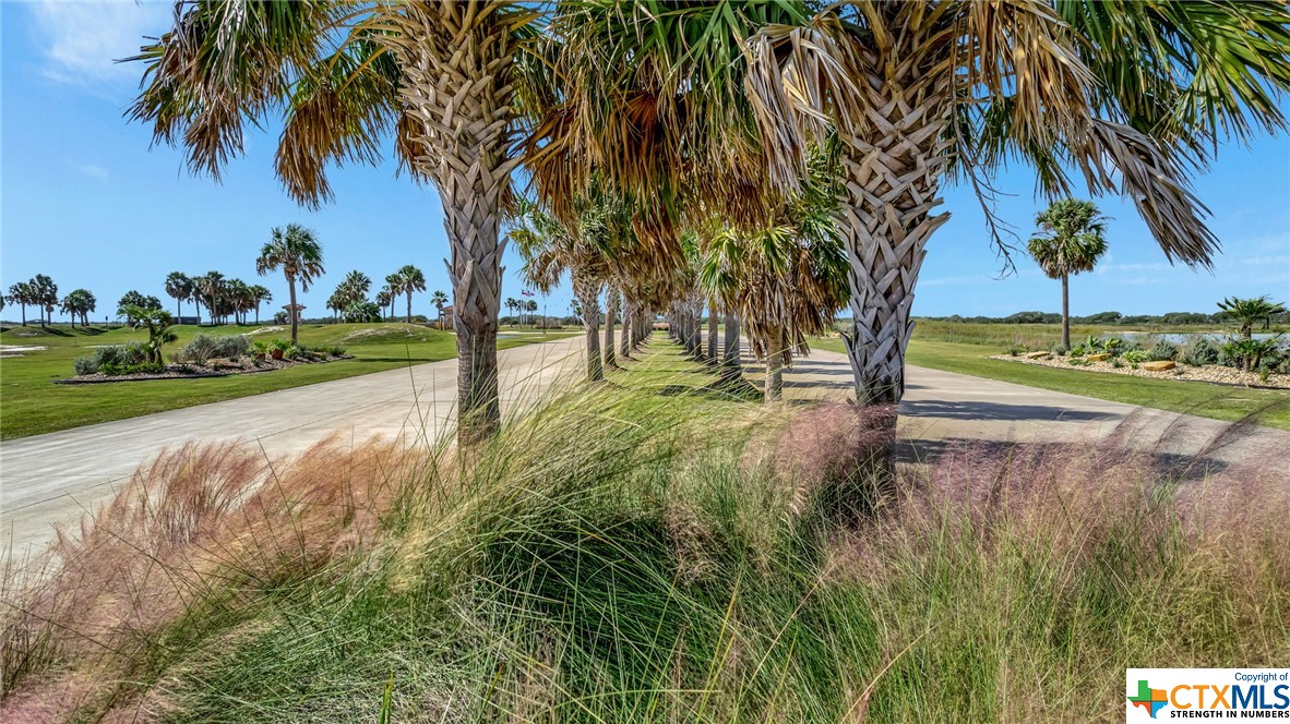 Lot 141 Vista Merlot