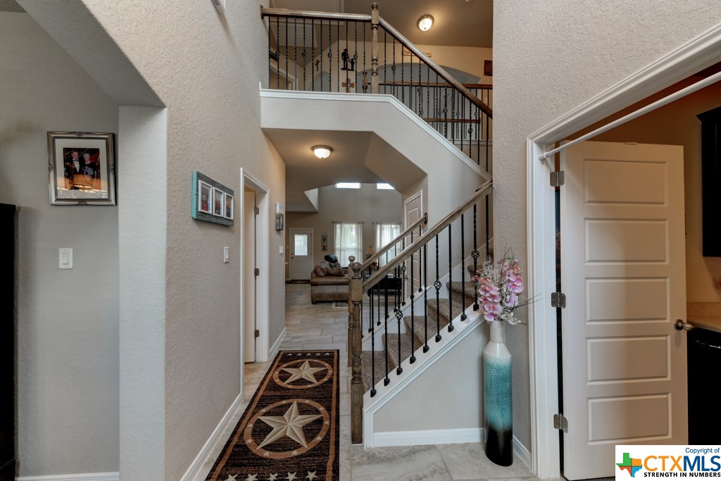 3170 Daisy Meadows