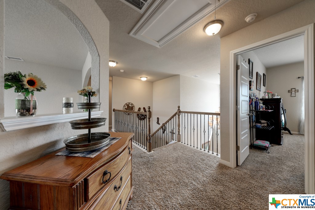3170 Daisy Meadows