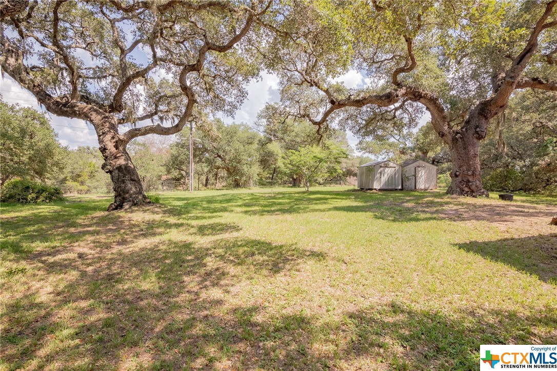 1107 Live Oak Drive