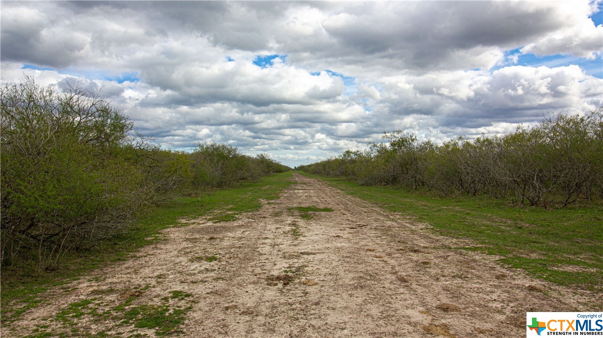 6479 San Antonio River Road