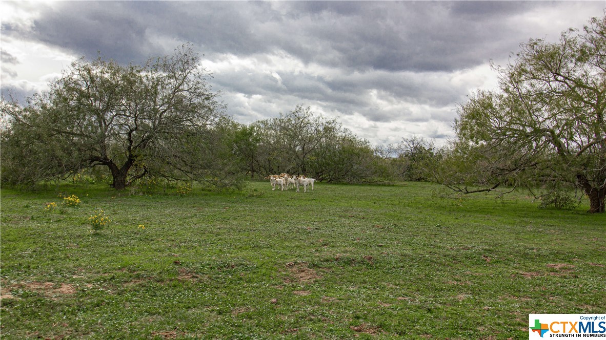 6479 San Antonio River Road