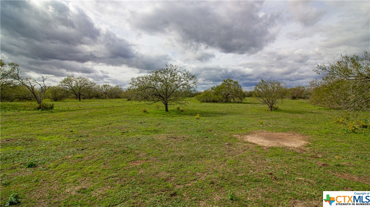 6479 San Antonio River Road