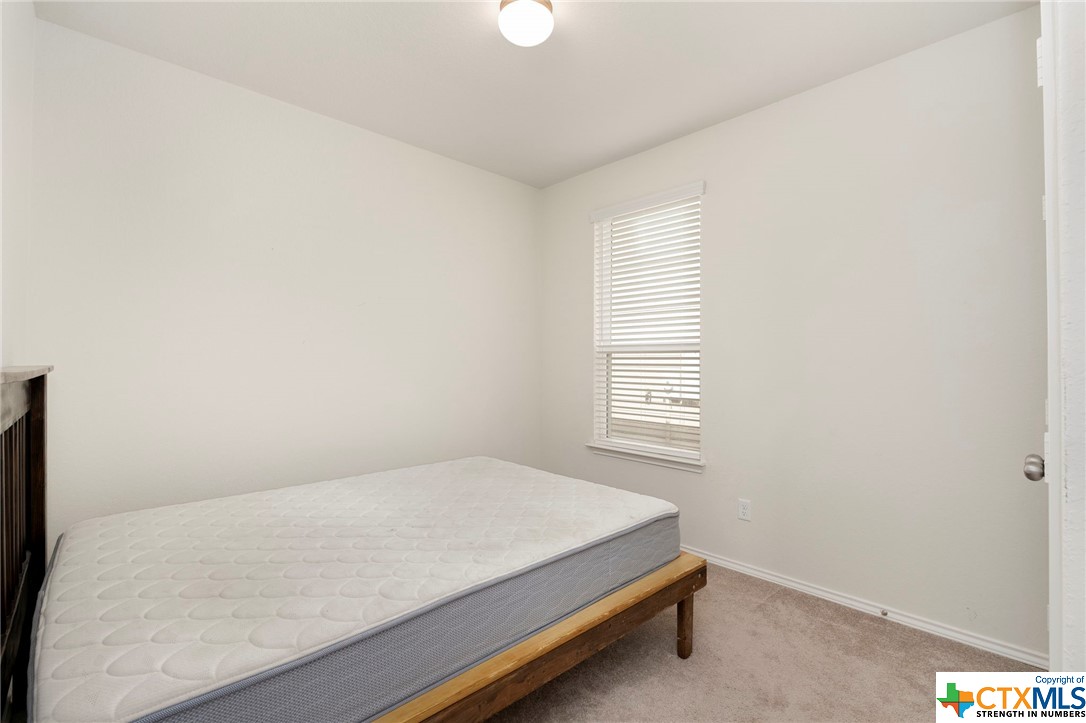 229 Texas Thistle