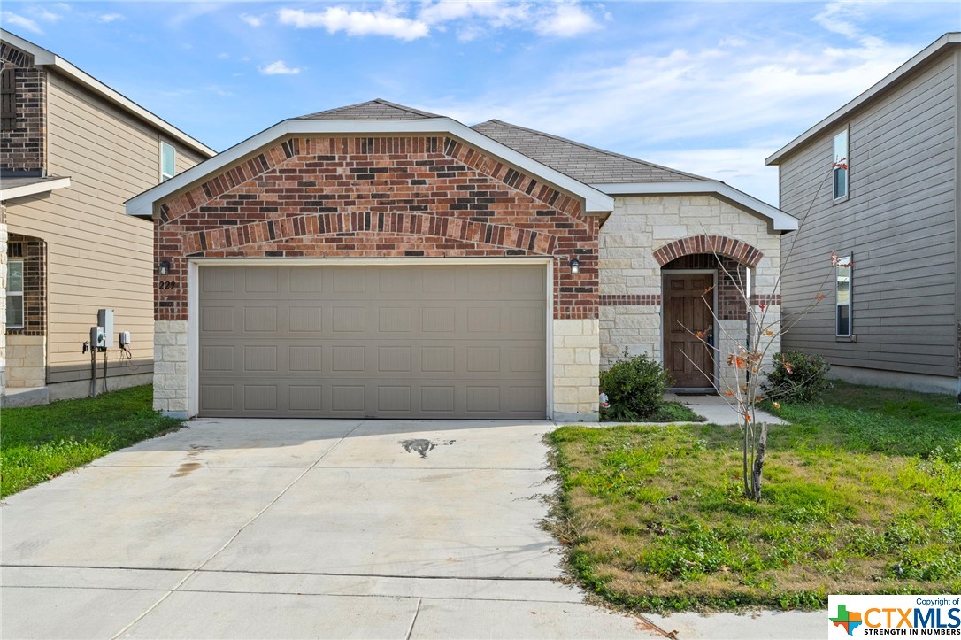 229 Texas Thistle