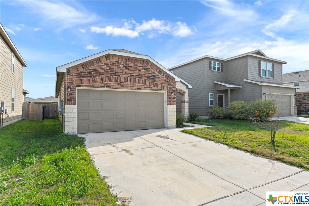 229 Texas Thistle